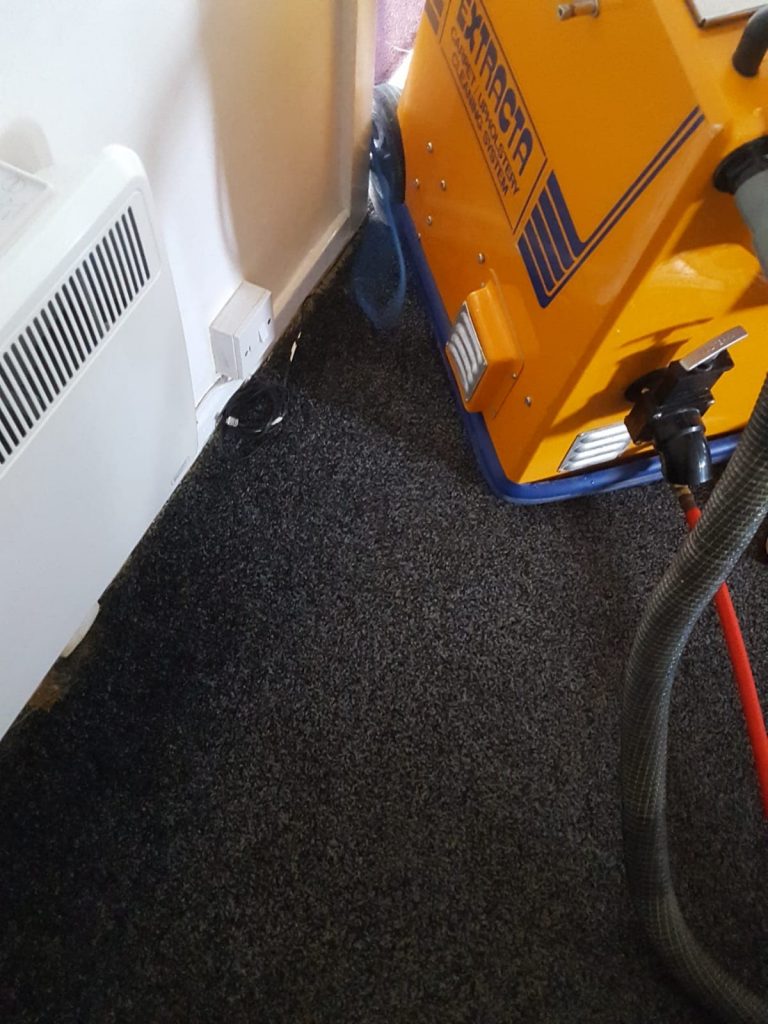 Carpet Cleaning Job