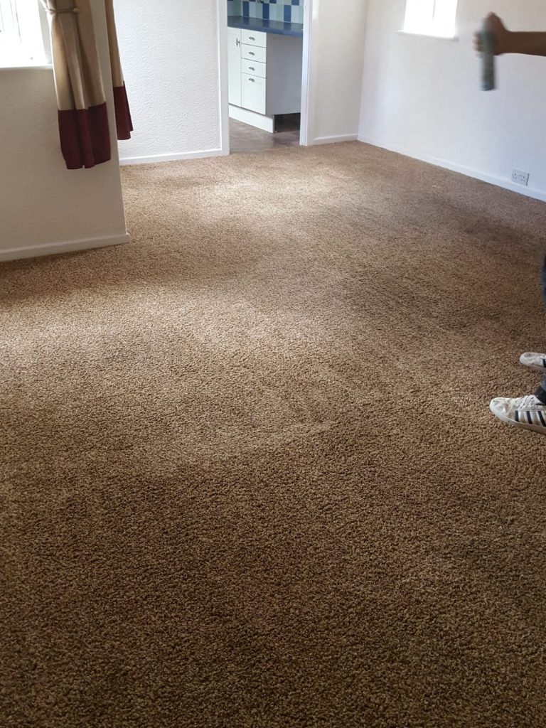 Carpet Cleaning Job